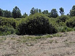 Közelebbről