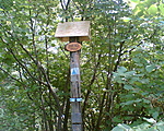 A csúcs