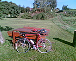 Drótszamár