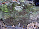 Forrás