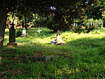 temető