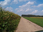 kiserdő