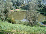 tó4