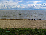 Flódni