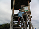 Kilátó