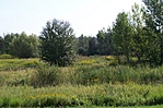 Környezet