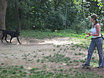 Mindent a piros labdáért :-)