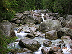 Tarpatak