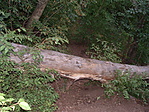 Egy akadály