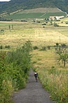 60 km/h