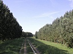 A közeli gát