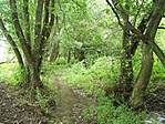 Patakpart