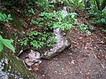 rejtek