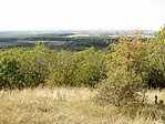 Panoráma