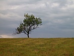 magányosan