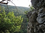A szurdok