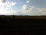 Mező 01.