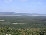 Panoráma