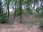 halomsír