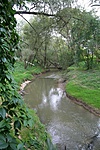 Zala
