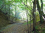 A vízmosás