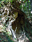 Gyökerek