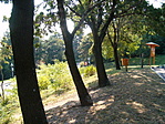parkoló