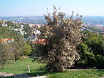 kilátás3