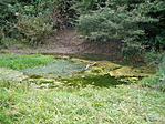 folyó