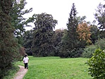 Park emerzeevel