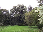 Park részlet
