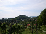 A királyné szoknyája