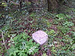 Kamon-kő