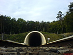 A sötétség szája