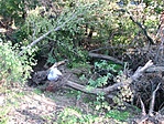 A terep"rendezés" után