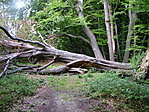 akadály