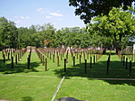 A 301-es parcella