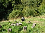 A láda közeli kis rét