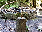 Elhagyott kiskés