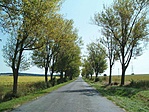 Hidegkút felé