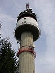 The Tower