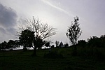 Kontraszt