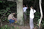 A csapat