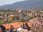 domb