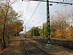 Párhuzamosak