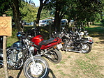 Vasparipák