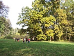 Ajándék időjárás