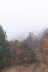 Ősz