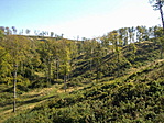 Árokvége