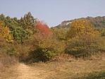 Távolról